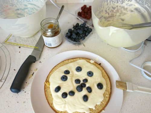 schichttorte_joghurtcreme_beeren2
