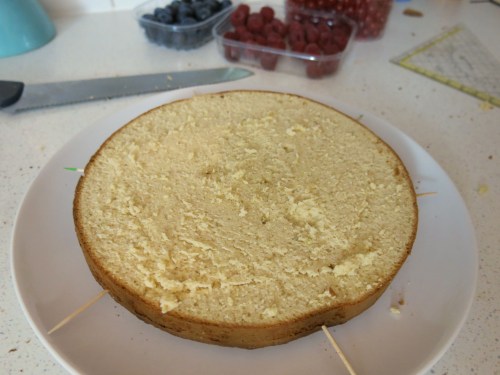 schichttorte_joghurtcreme_beeren3