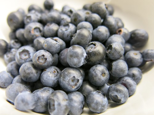 cheesecake_heidelbeere1