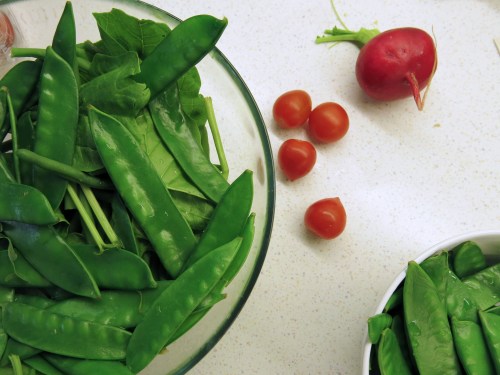 fisolen-schoten-salat